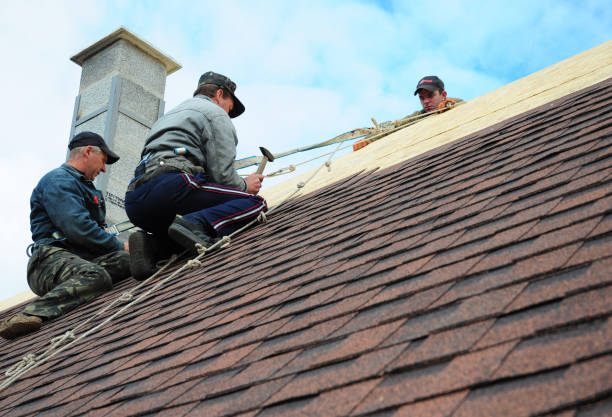 Roof Waterproofing Services in Humboldt, TN